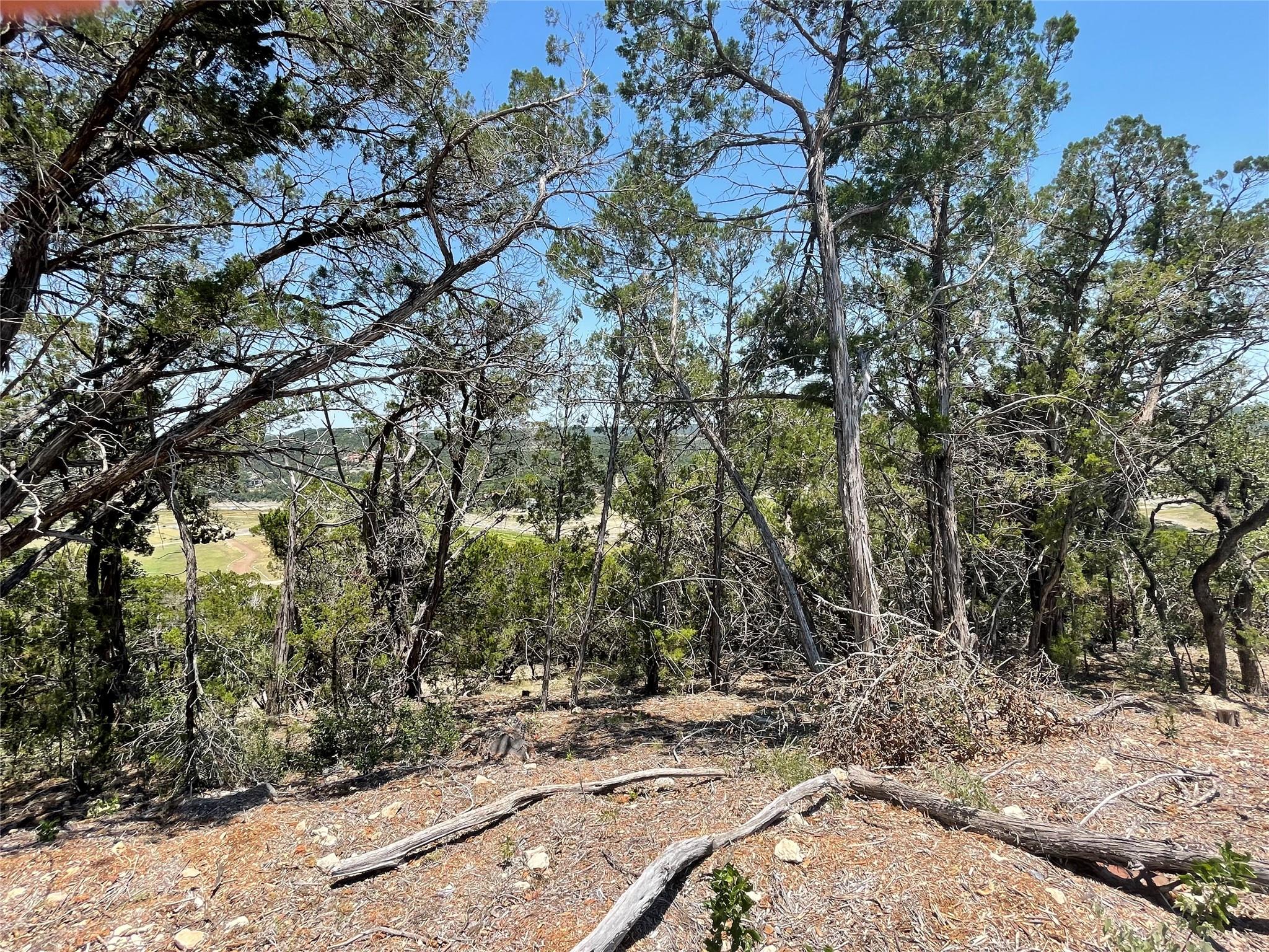 18783 FM-1431, Jonestown, TX 78645