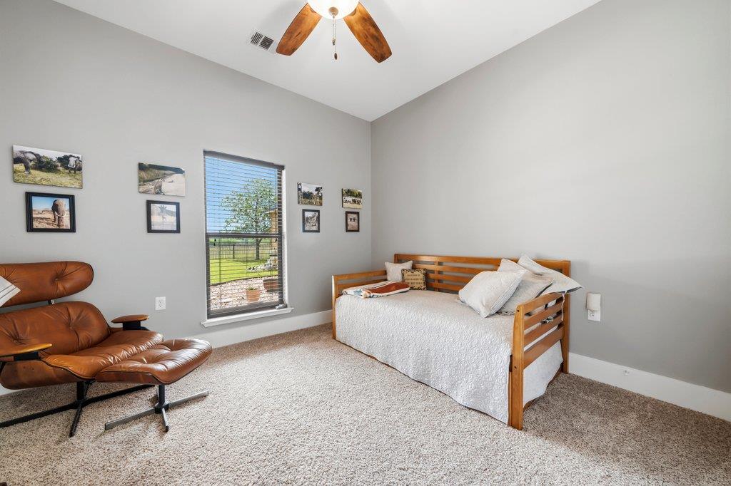 115 Lakeside Cv, Martindale, TX 78655