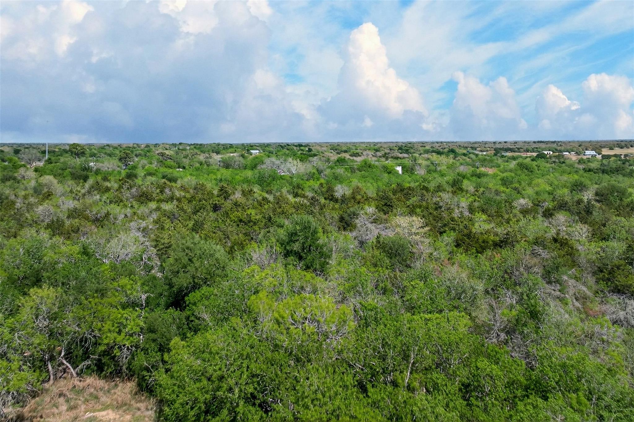 0000 FM 1854 Rd, Dale, TX 78616