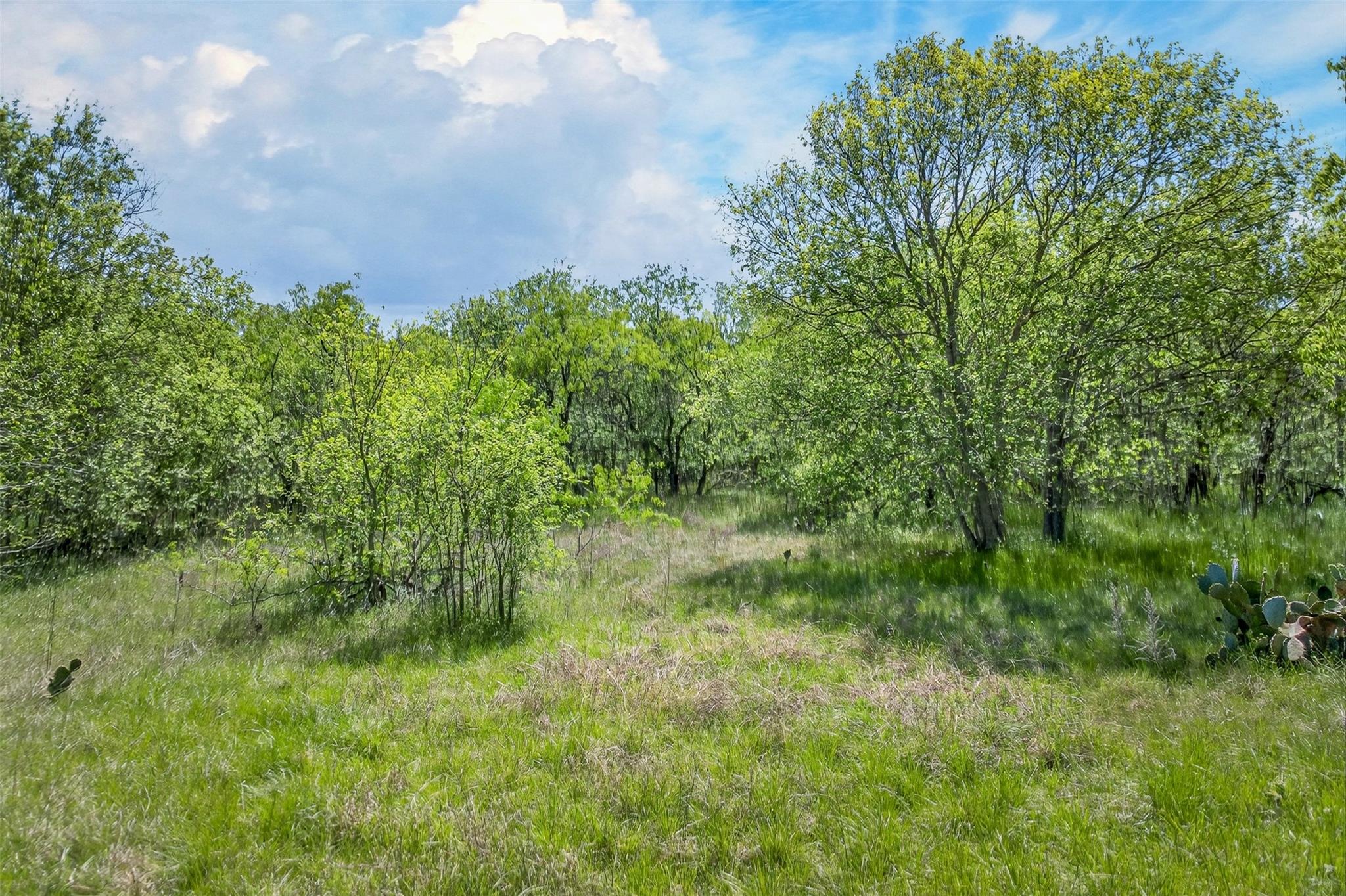 0000 FM 1854 Rd, Dale, TX 78616