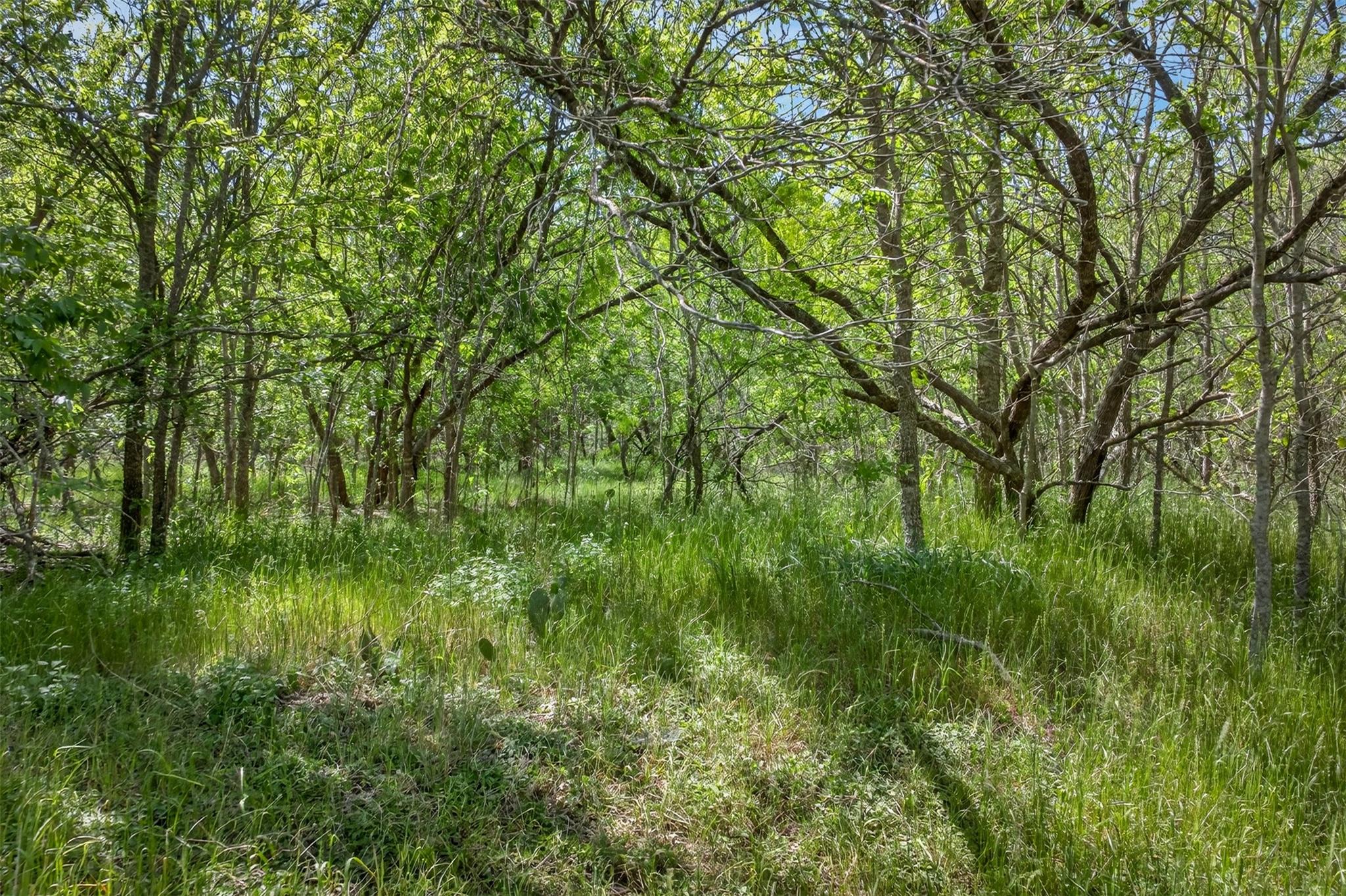 0000 FM 1854 Rd, Dale, TX 78616