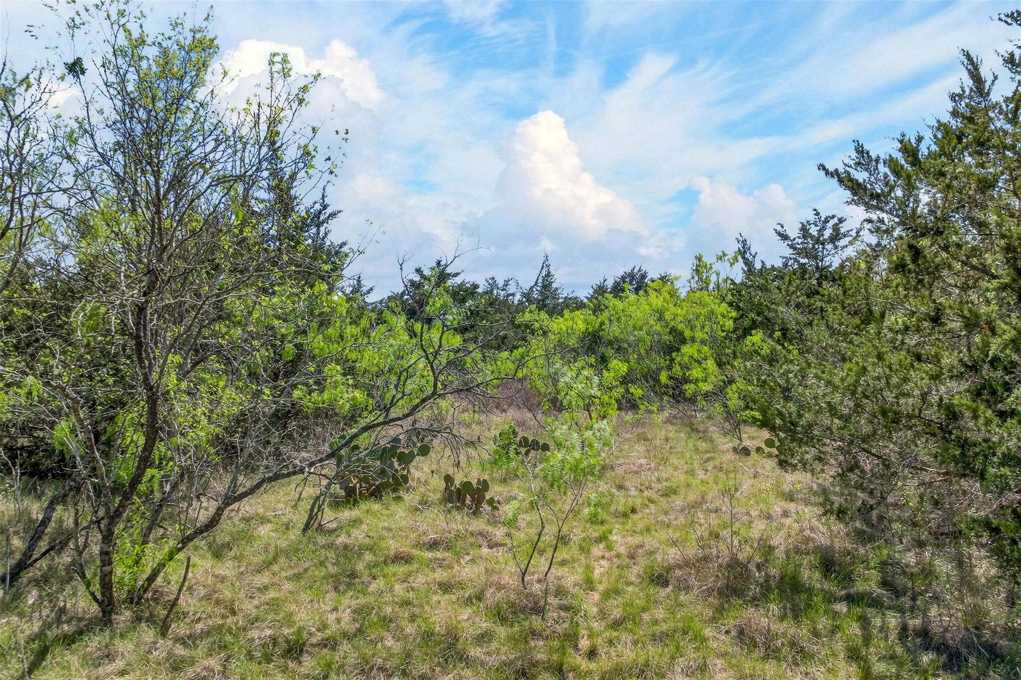 0000 FM 1854 Rd, Dale, TX 78616