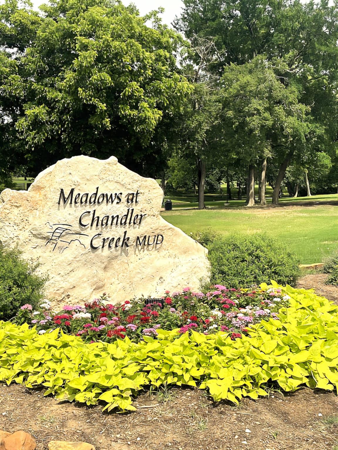 2203 Boneset Trl, Round Rock, TX 78665