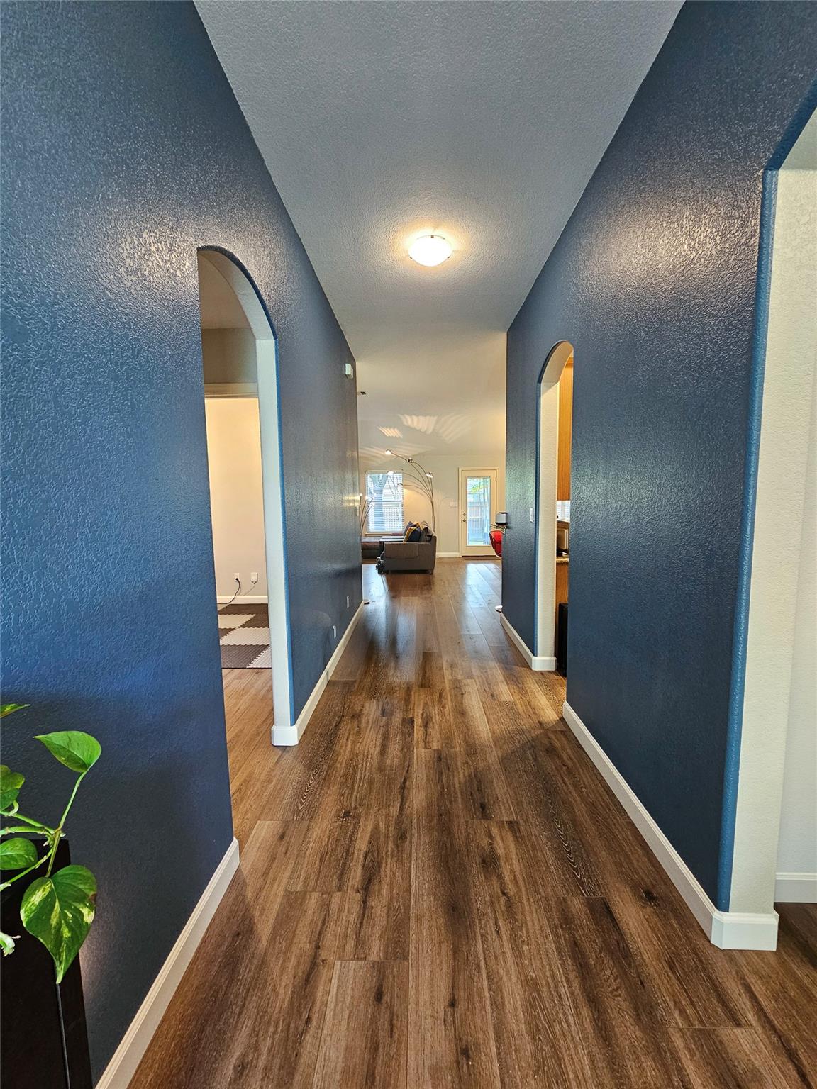 2203 Boneset Trl, Round Rock, TX 78665