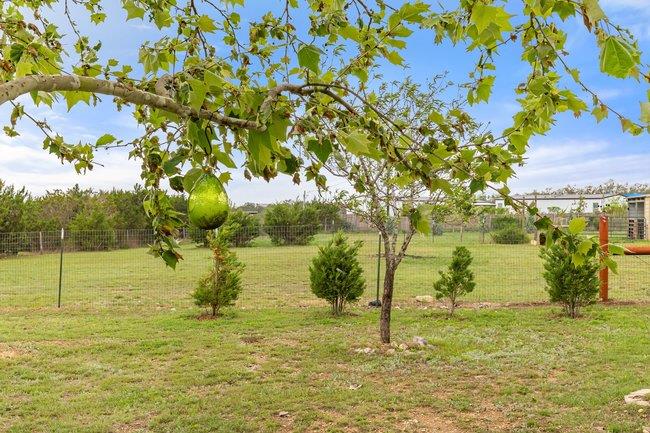 432 Chama Trce, Dripping Springs, TX 78620