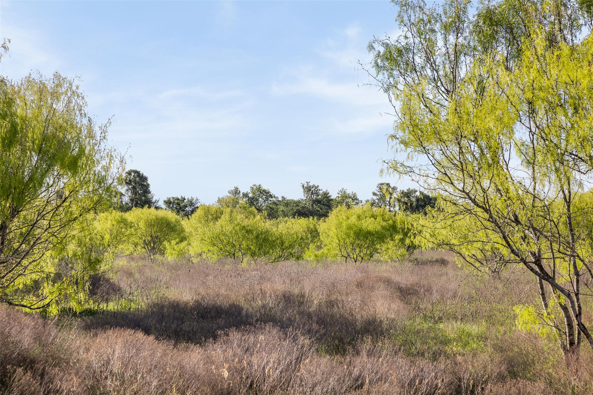 0000 County Road 414, Buckholts, TX 76518