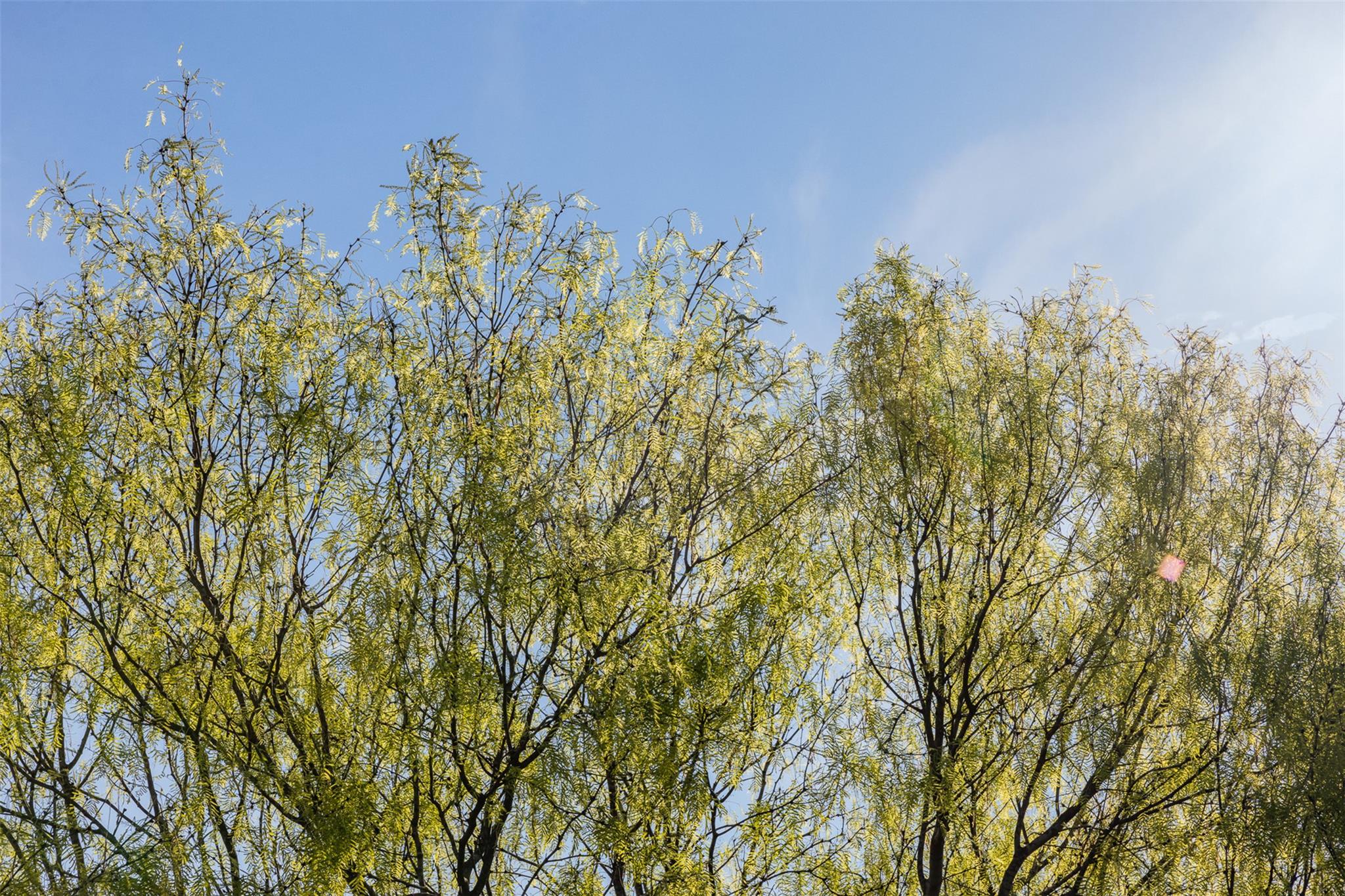 0000 County Road 414, Buckholts, TX 76518