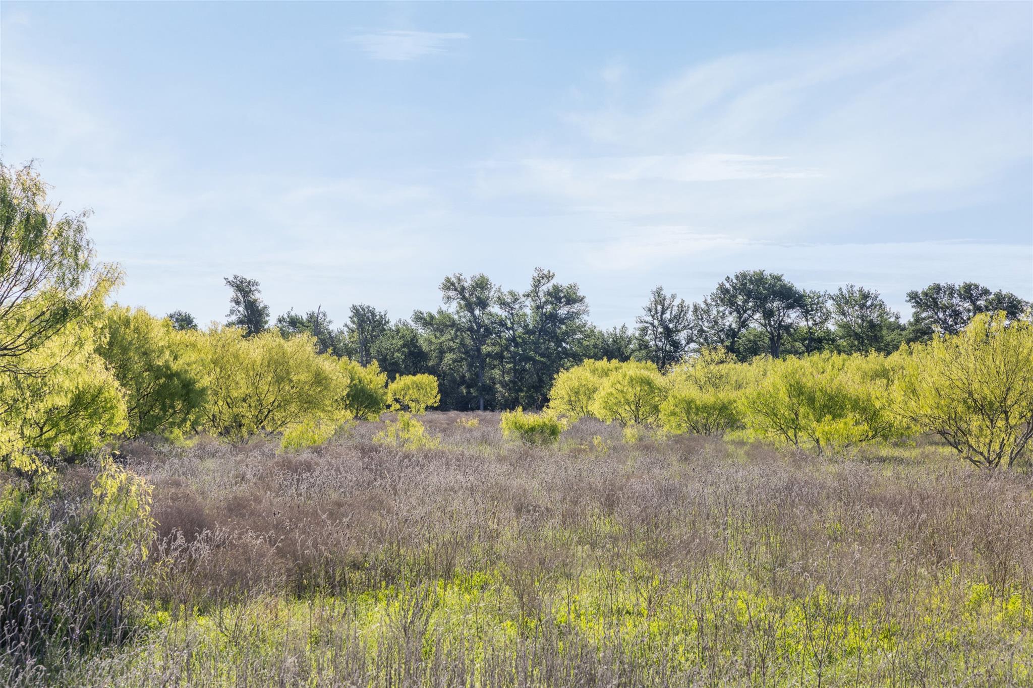 0000 County Road 414, Buckholts, TX 76518