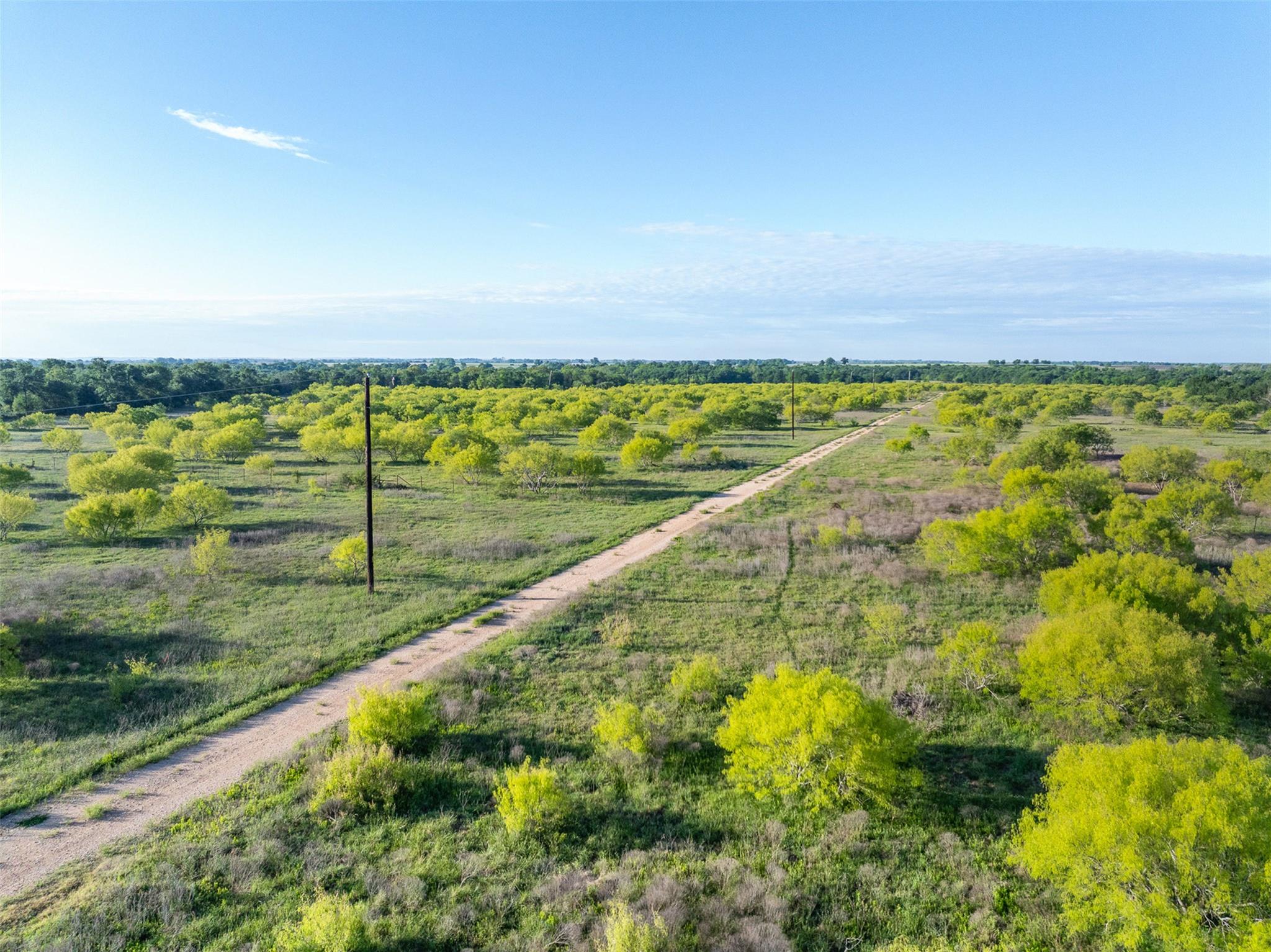 0000 County Road 414, Buckholts, TX 76518