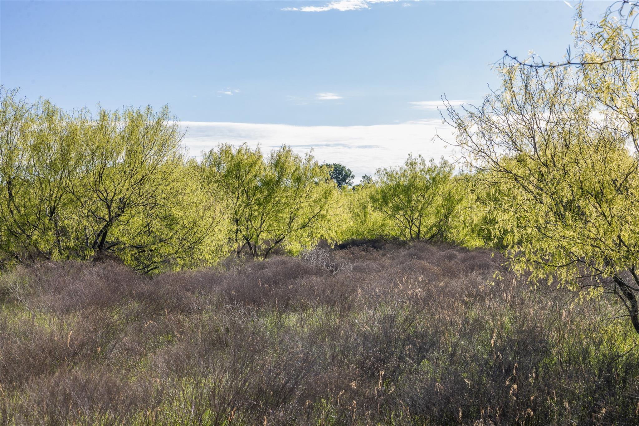 0000 County Road 414, Buckholts, TX 76518