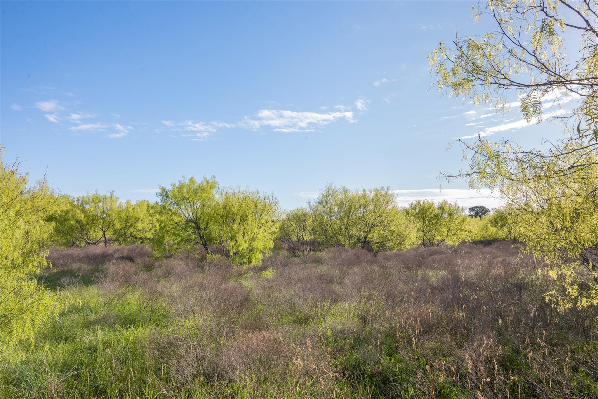 0000 County Road 414, Buckholts, TX 76518