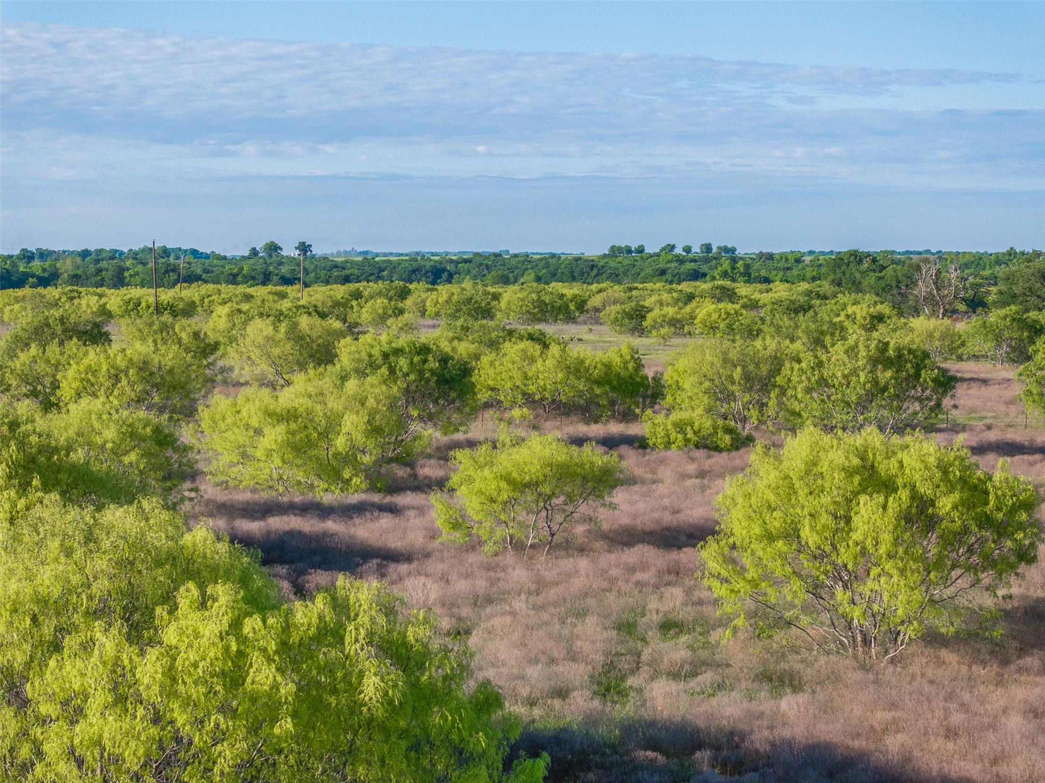 0000 County Road 414, Buckholts, TX 76518