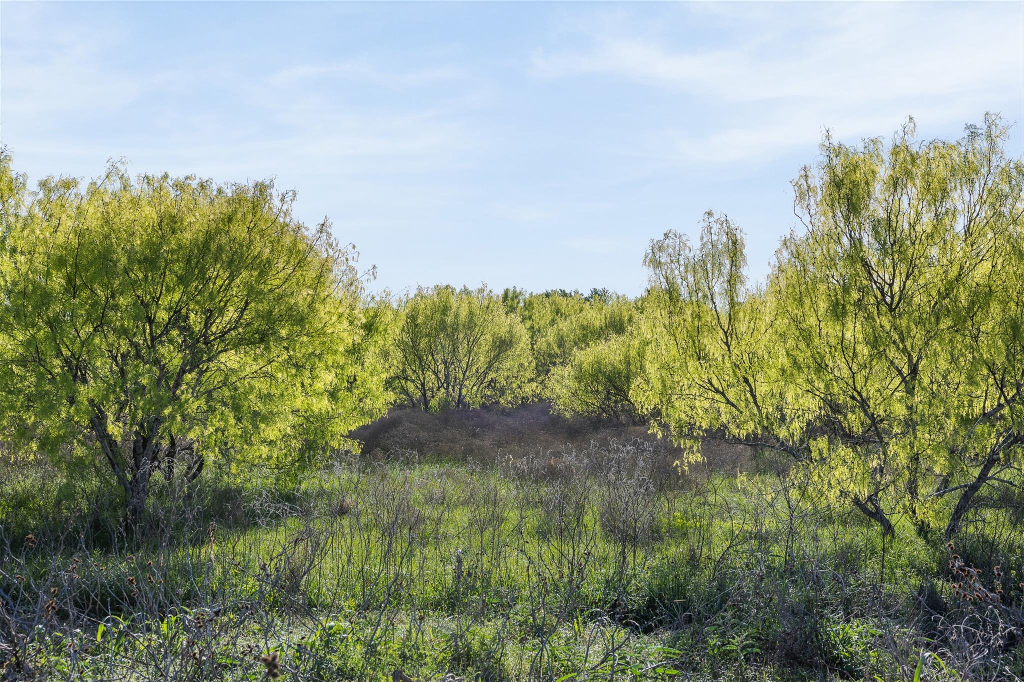 0000 County Road 414, Buckholts, TX 76518