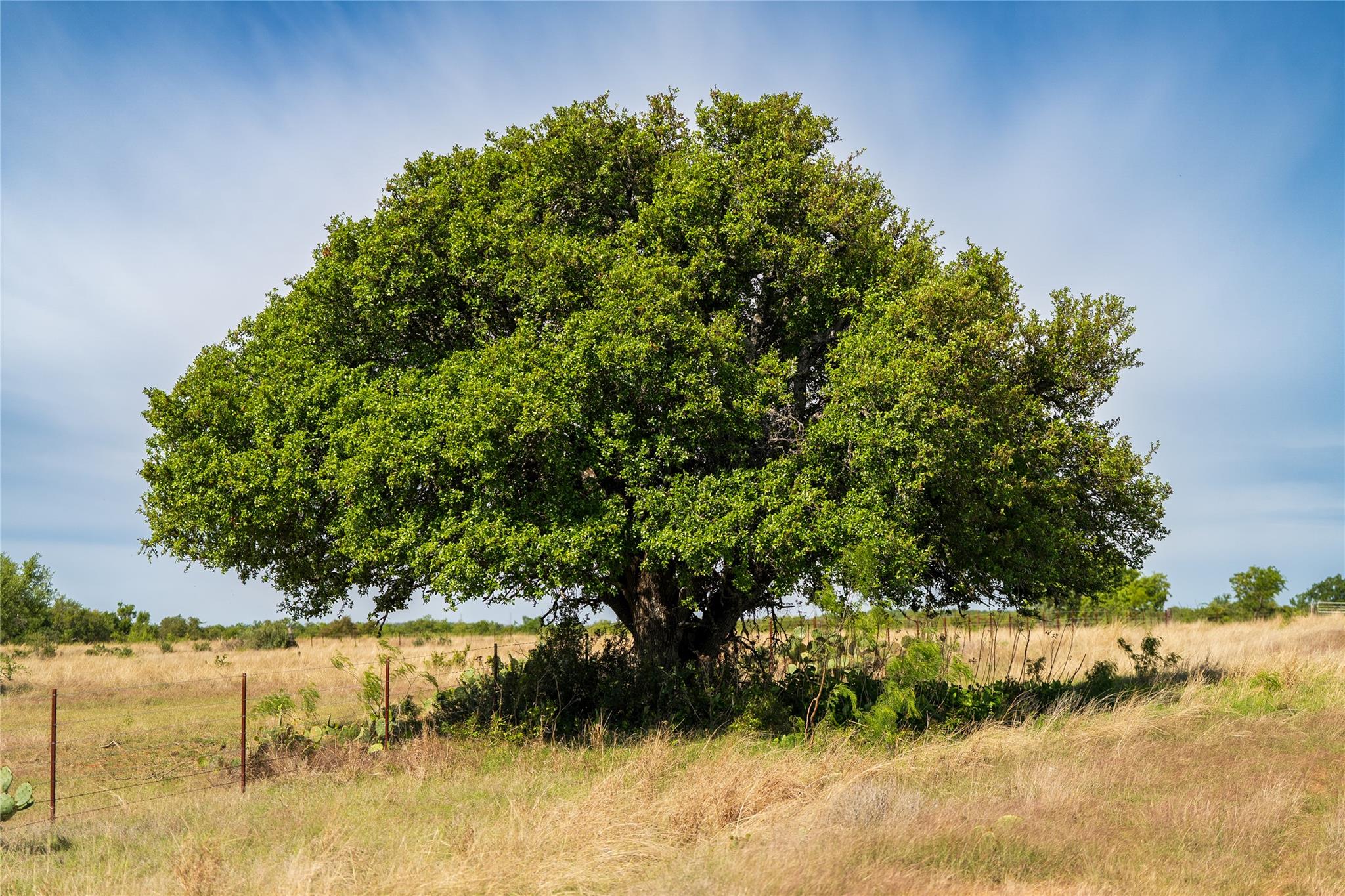 12350-125 N Hwy 16 Highway, Fredericksburg, TX 78624
