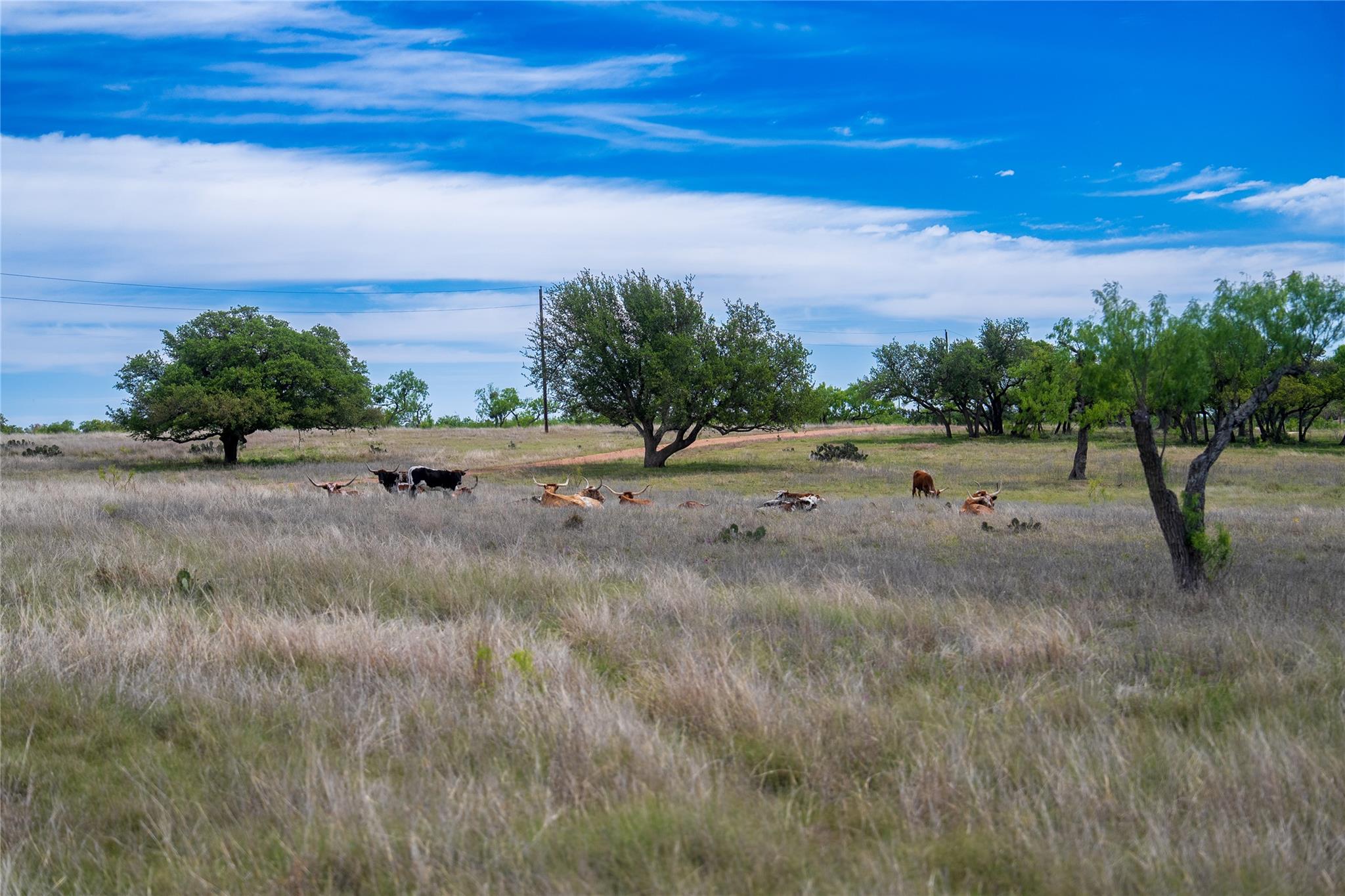 12350-125 N Hwy 16 Highway, Fredericksburg, TX 78624