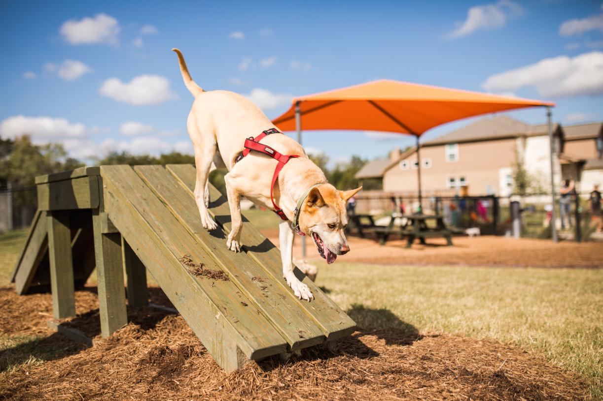 207 La Caleta Bnd, Liberty Hill, TX 78642