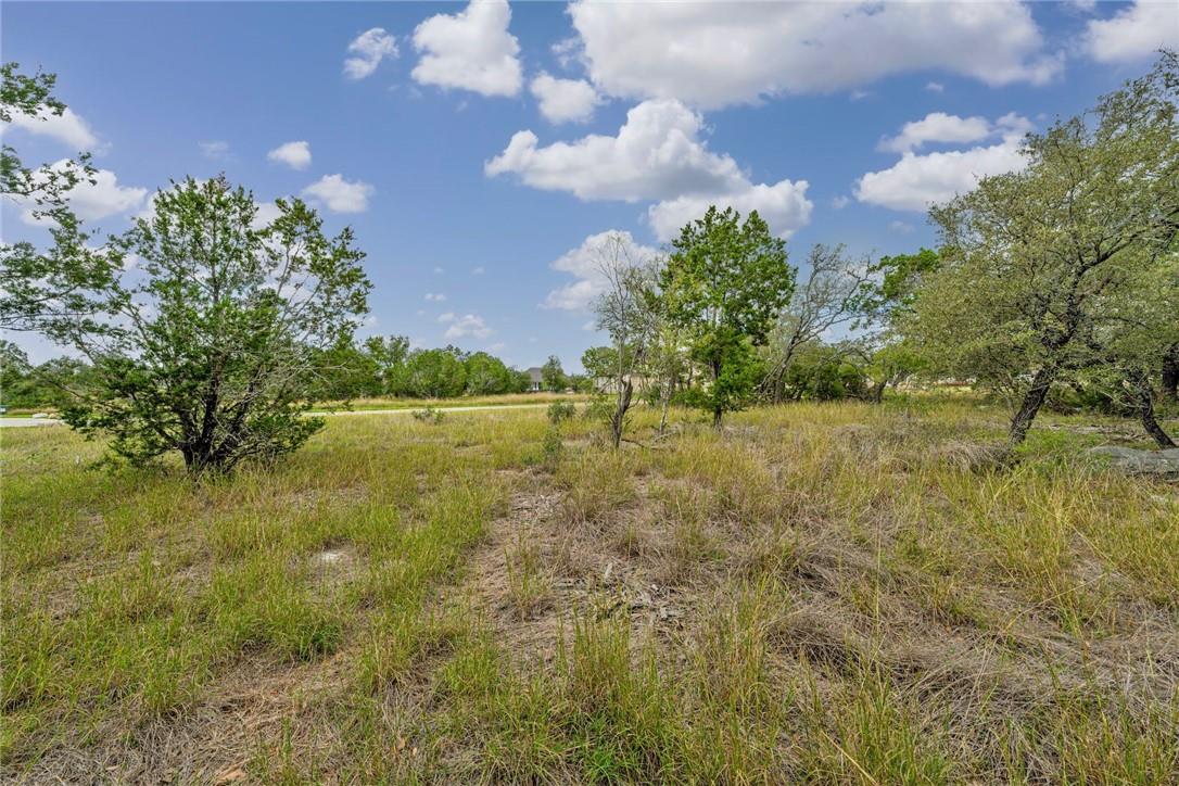 104 Rocky Summit Ct, Spicewood, TX 78669
