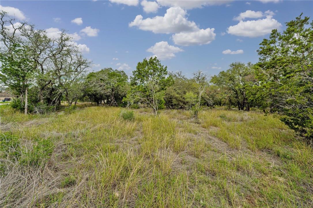 104 Rocky Summit Ct, Spicewood, TX 78669