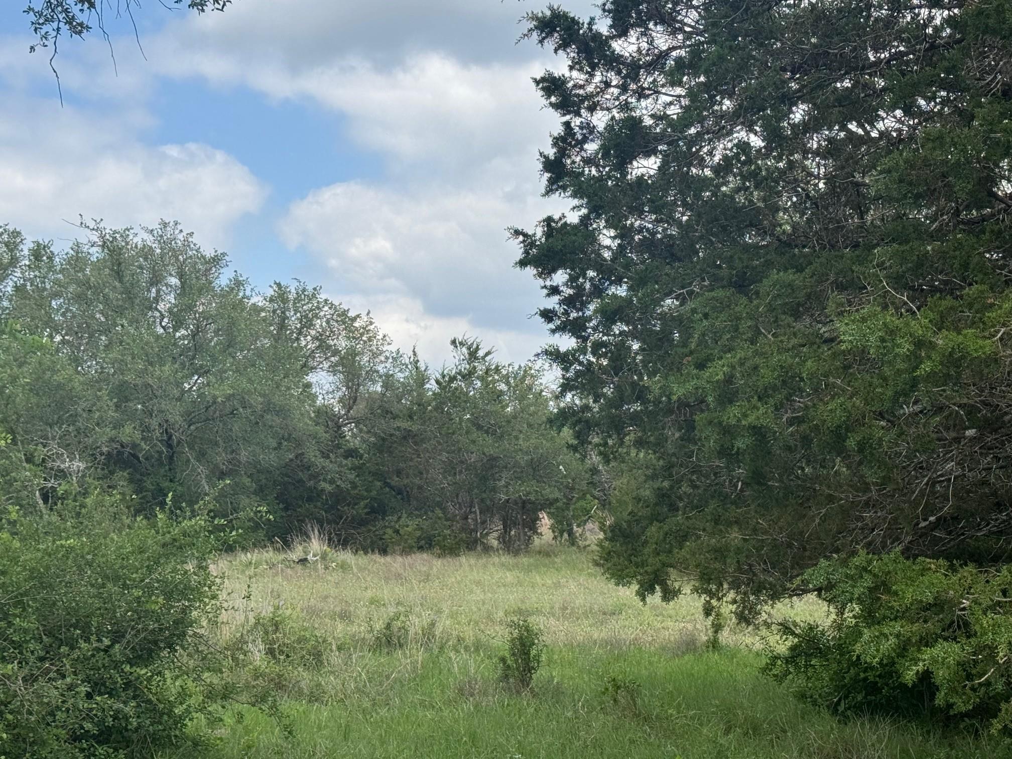 Lot 40 Maverick Way, Briggs, TX 78608