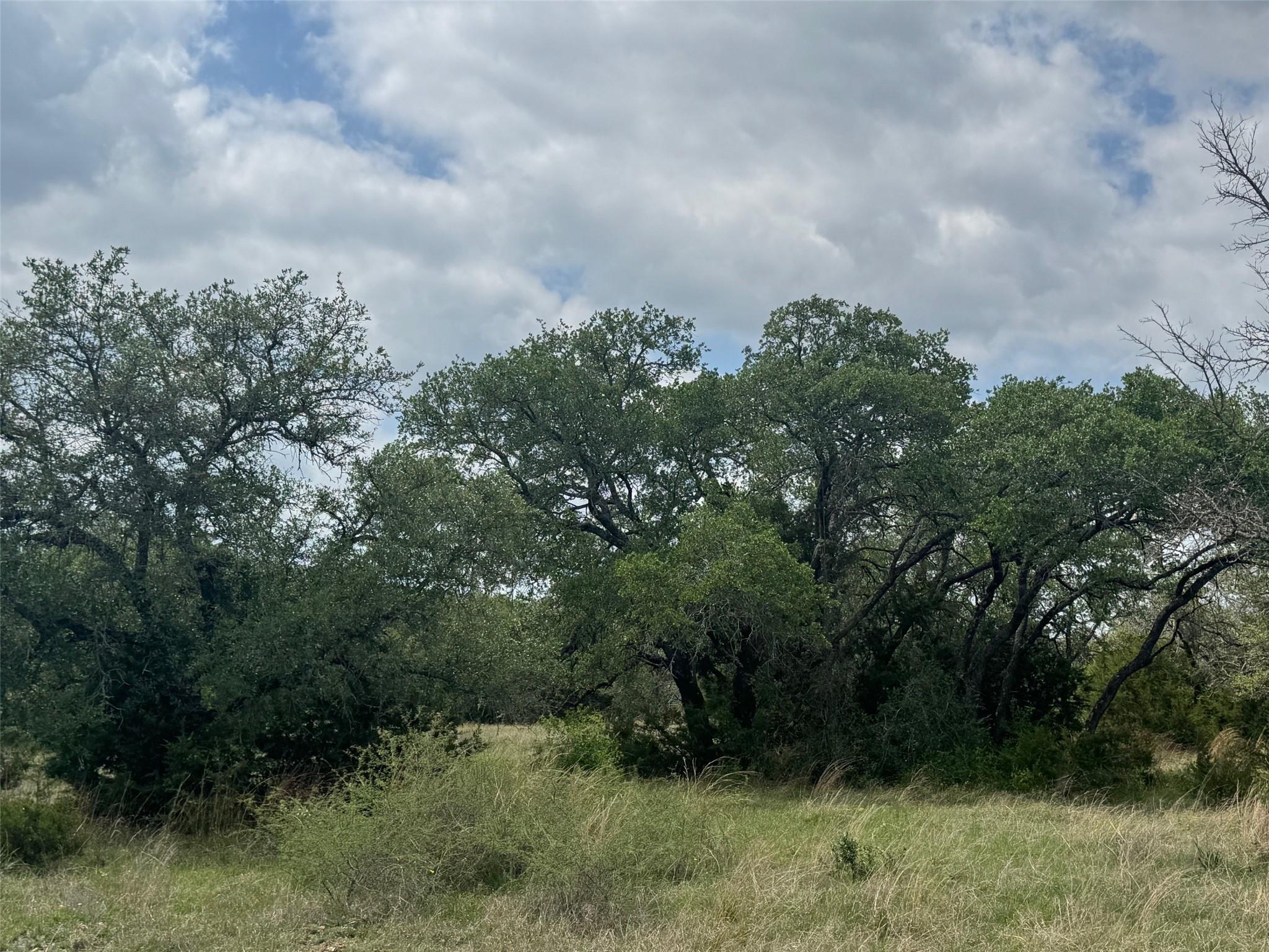 Lot 40 Maverick Way, Briggs, TX 78608