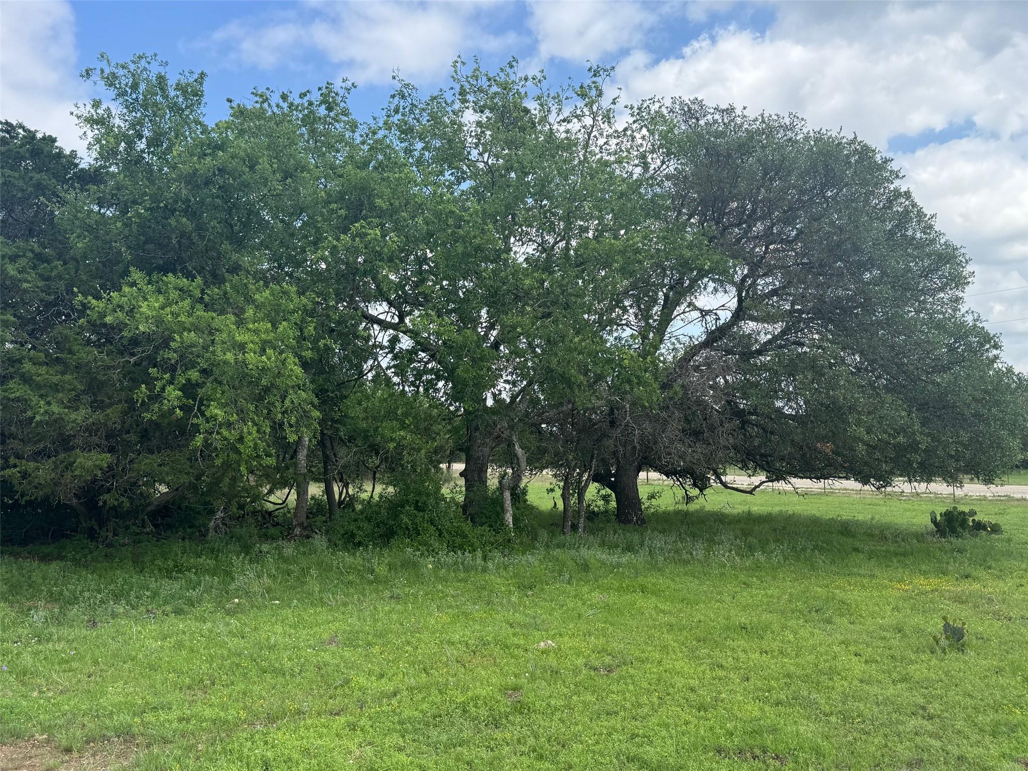 Lot 40 Maverick Way, Briggs, TX 78608
