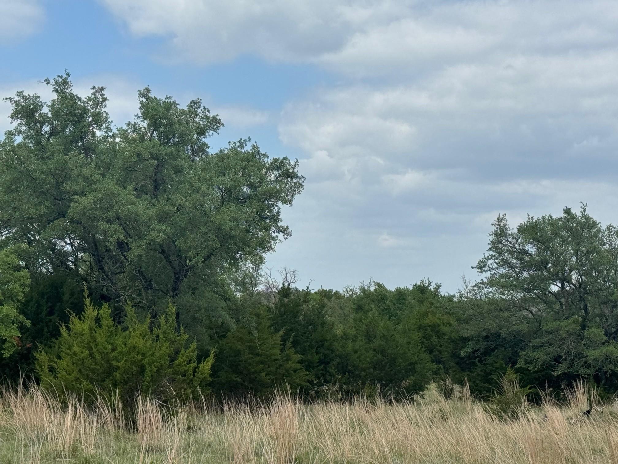 Lot 40 Maverick Way, Briggs, TX 78608