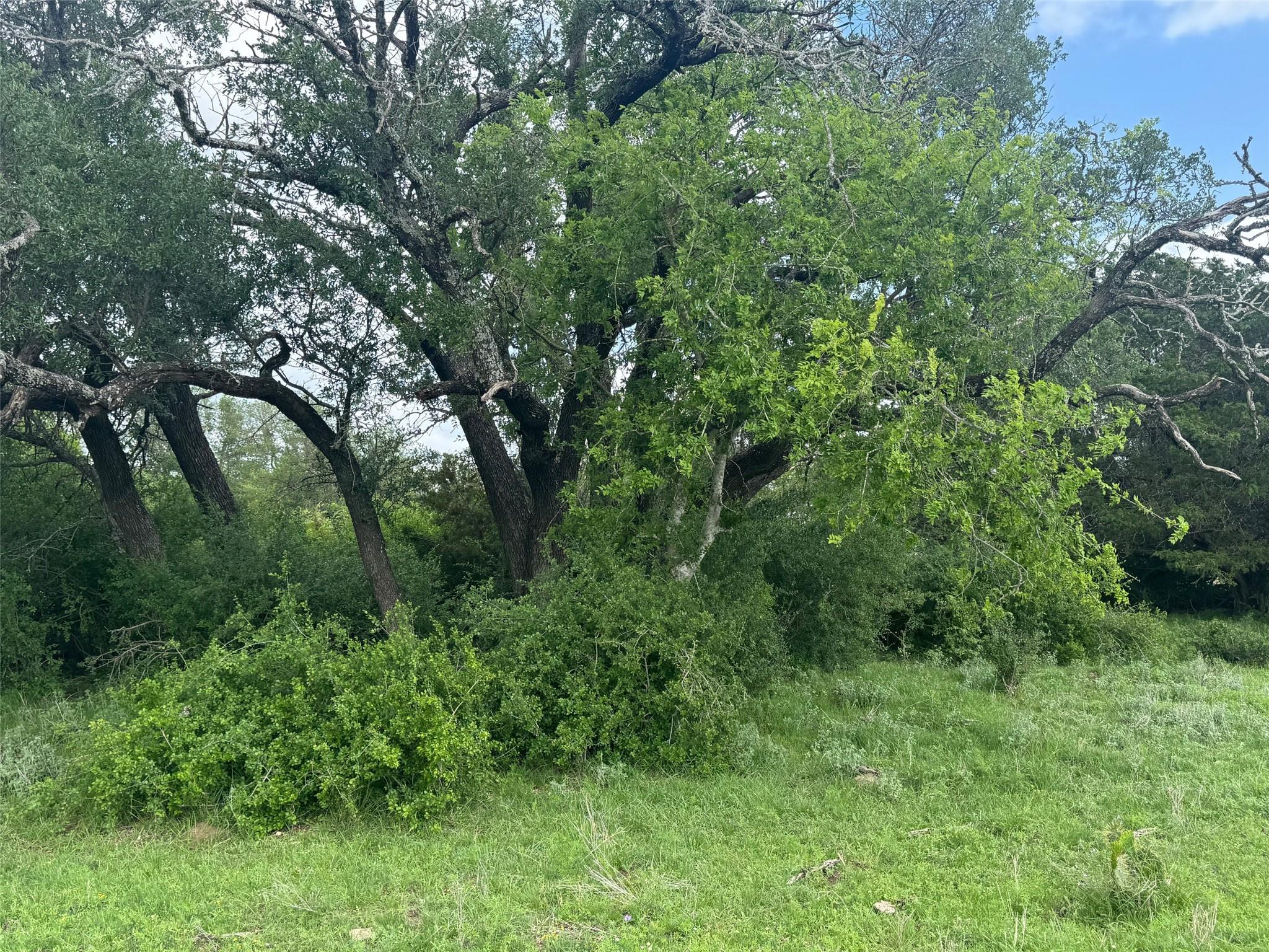 Lot 40 Maverick Way, Briggs, TX 78608