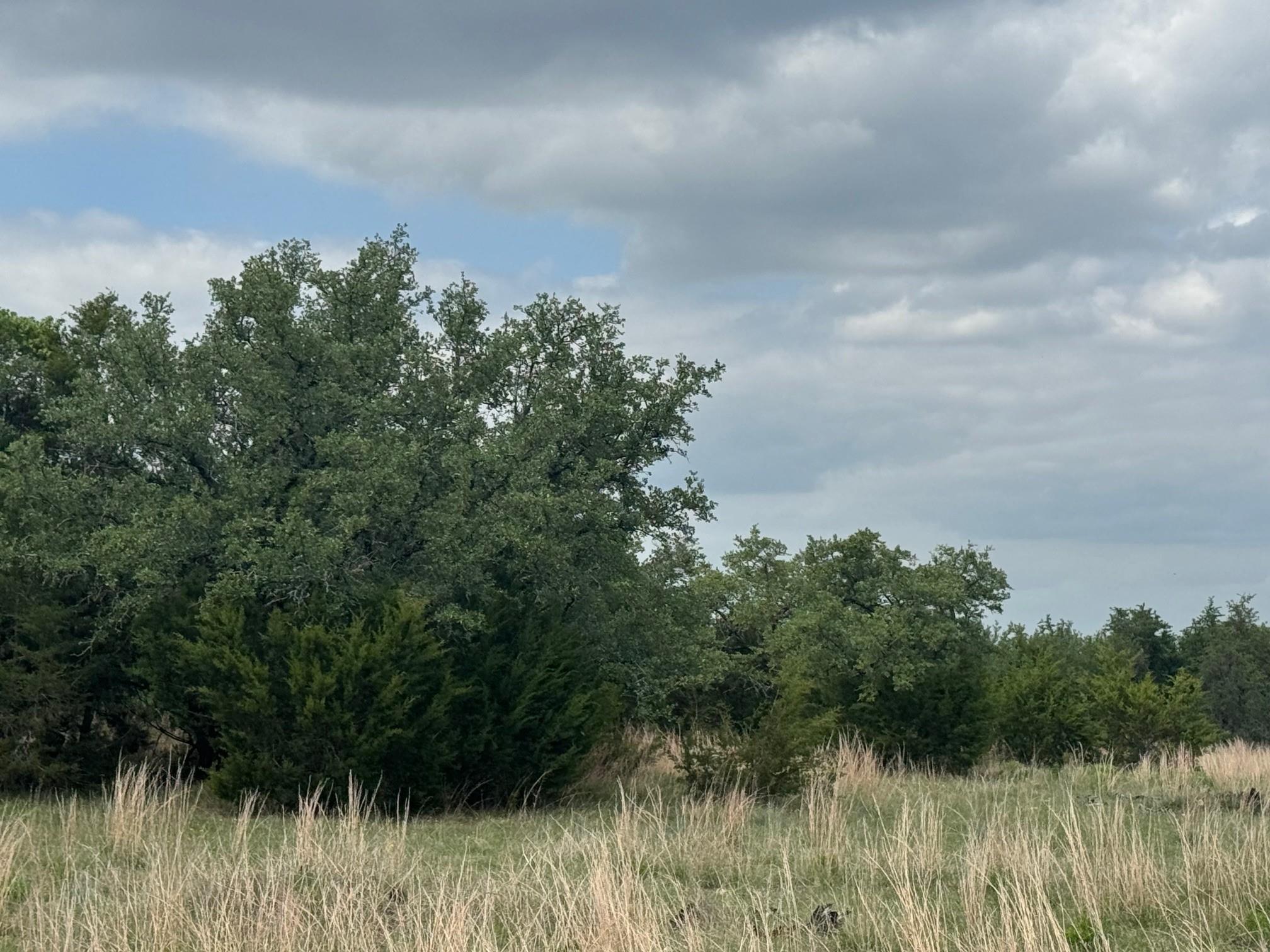 Lot 40 Maverick Way, Briggs, TX 78608