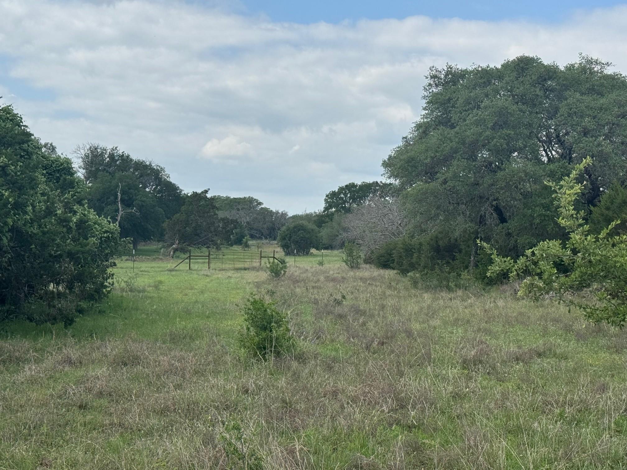 Lot 40 Maverick Way, Briggs, TX 78608
