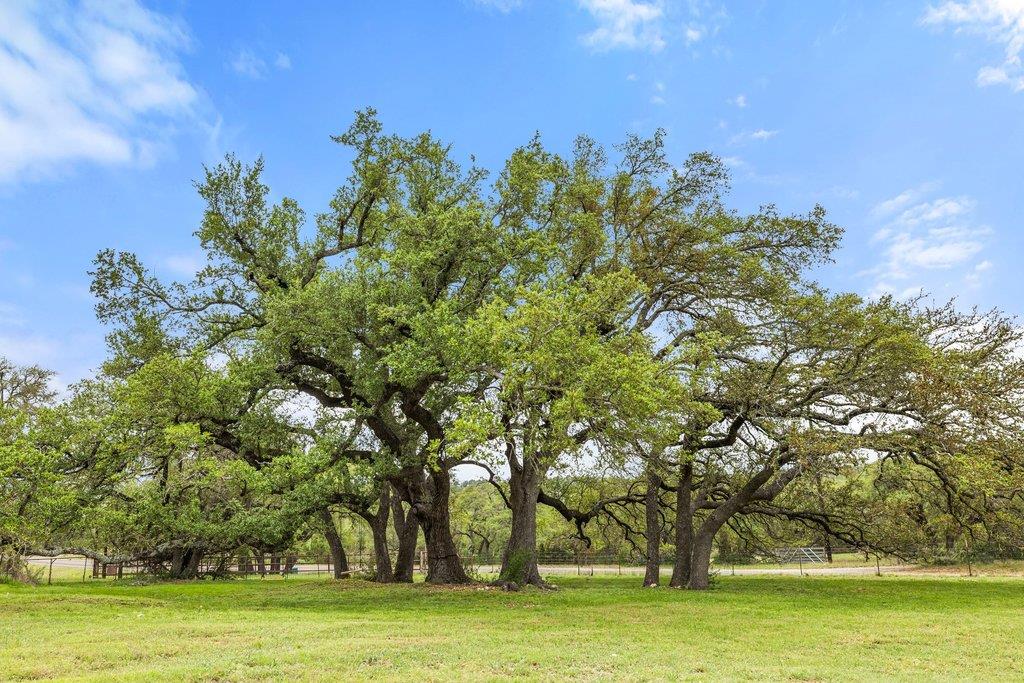 3657 Ranch Road 3232, Johnson City, TX 78636