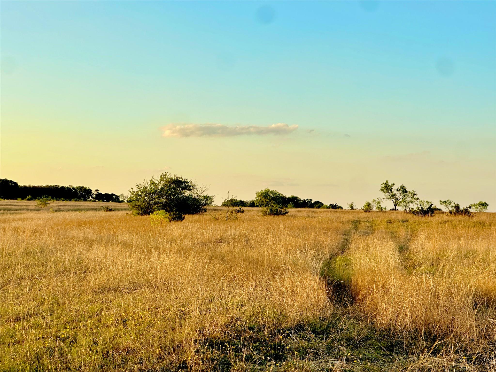 2600 County Road 276 Rd, Bertram, TX 78605