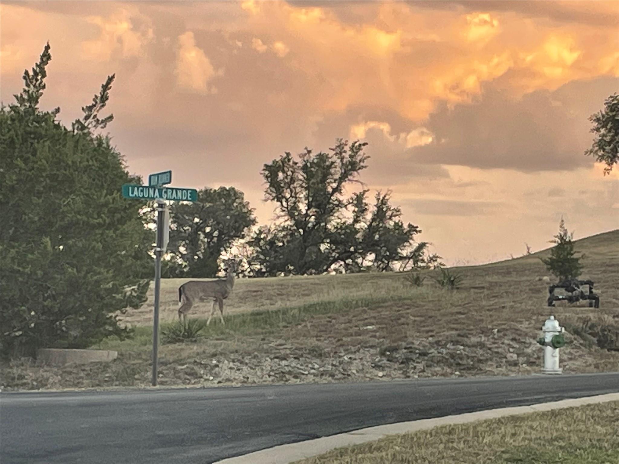 4310 Laguna Grande, Austin, TX 78734