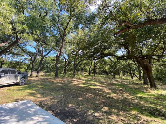 Lot 156 Hilandale Dr, Kempner, TX 76539
