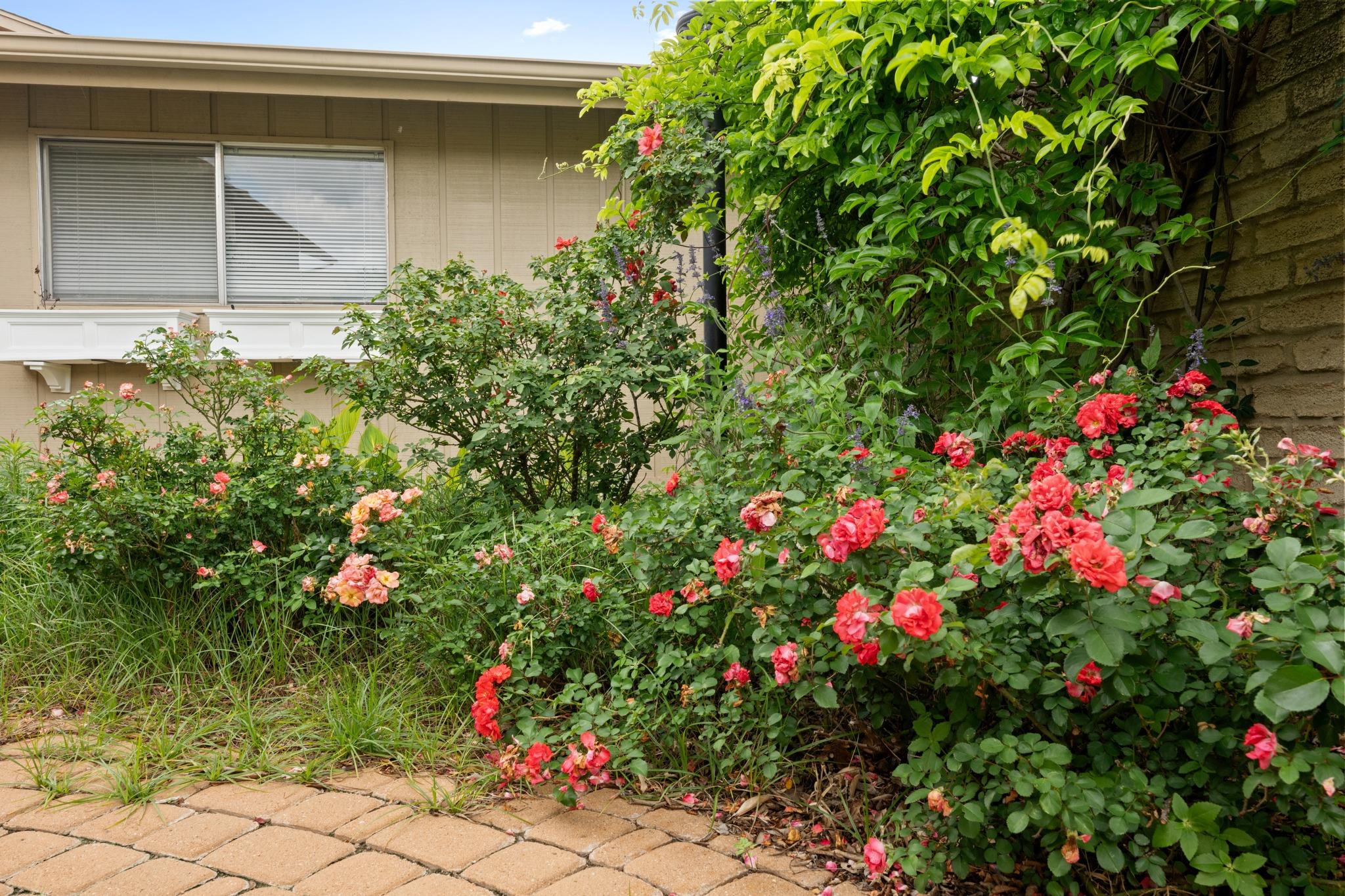 8107 Middle Ct, Austin, TX 78759