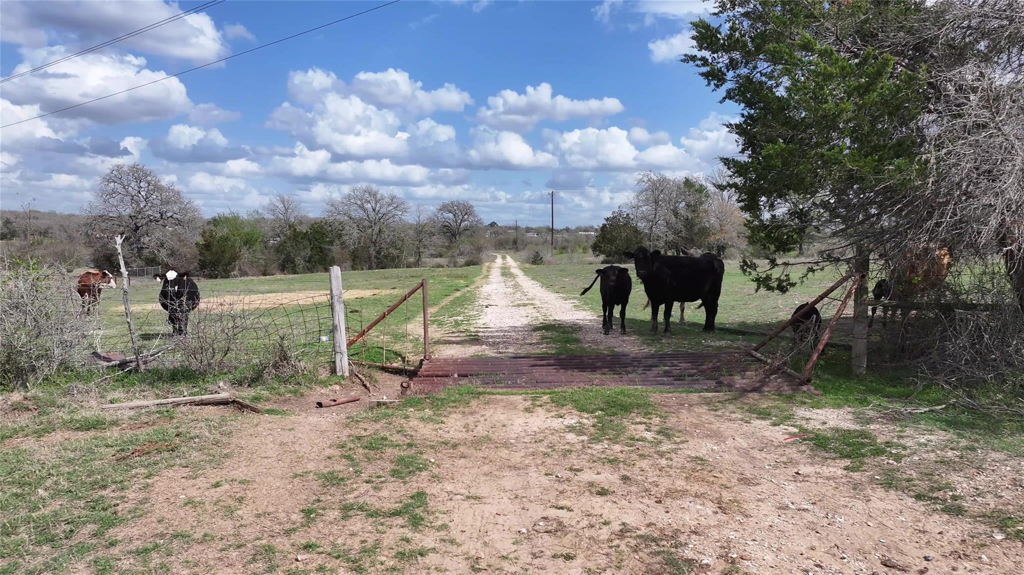 TBD FM 2440, Giddings, TX 78942