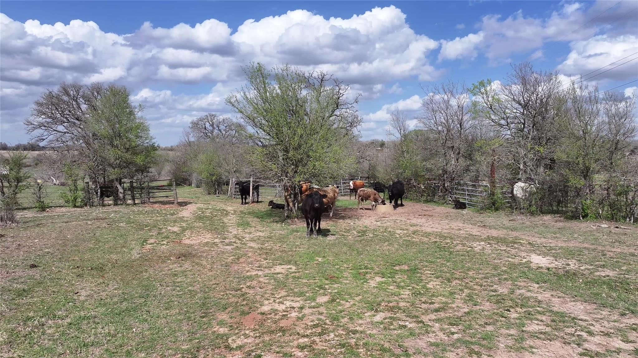 TBD FM 2440, Giddings, TX 78942