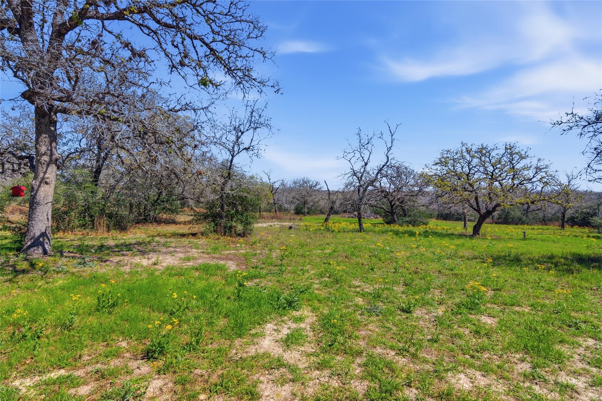 155 Guadalupe Ranch Ln, Seguin, TX 78155