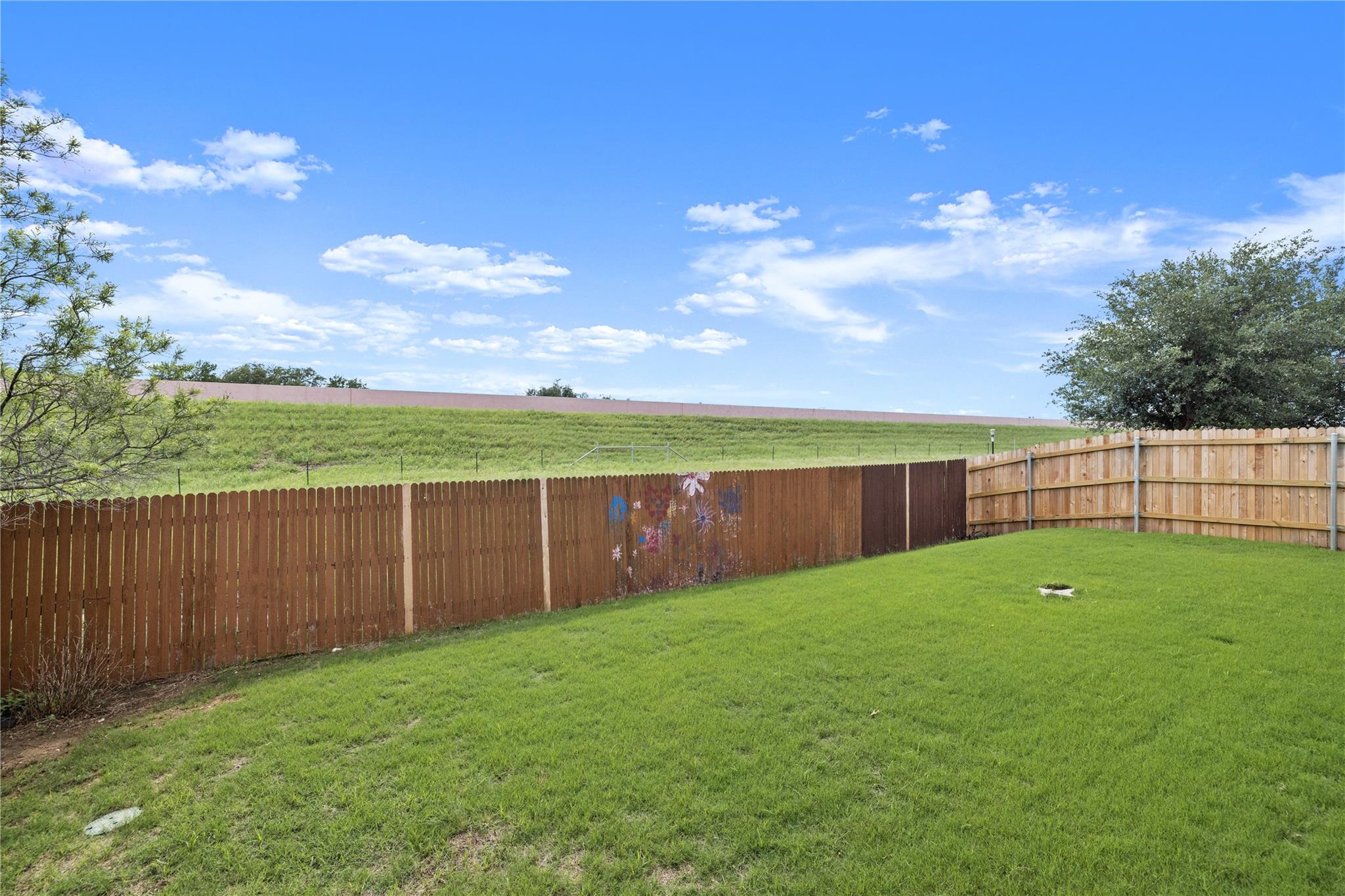 2249 Cactus Valley Dr, Leander, TX 78641