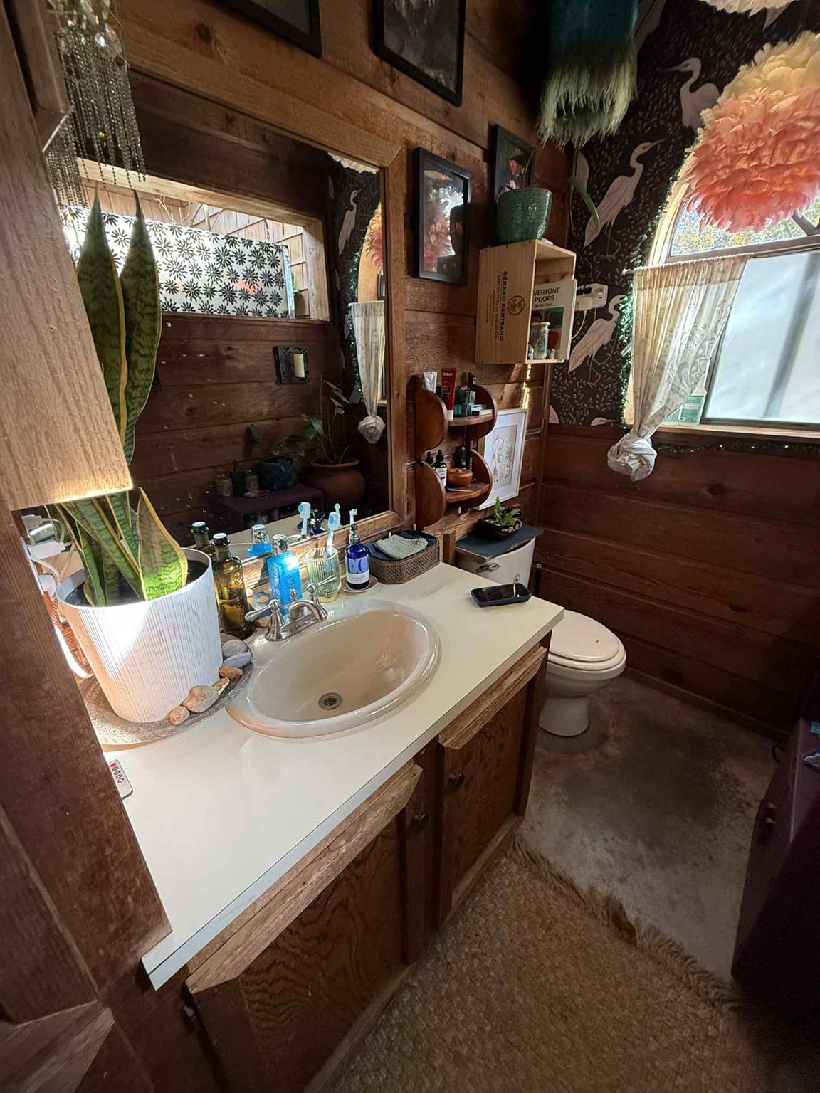 206 Topspin Dr, Spicewood, TX 78669