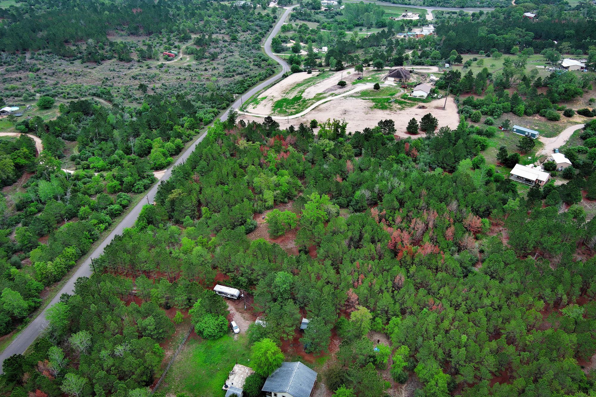 453 Kelley Rd, Bastrop, TX 78602