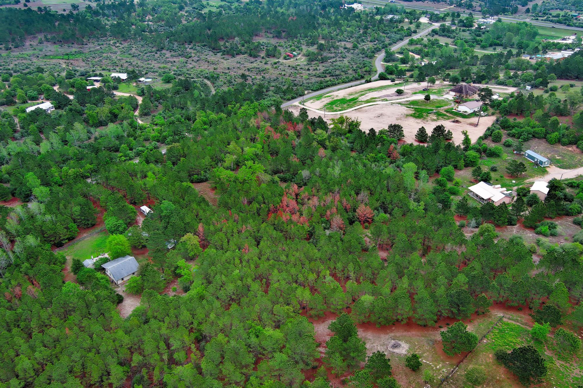 453 Kelley Rd, Bastrop, TX 78602