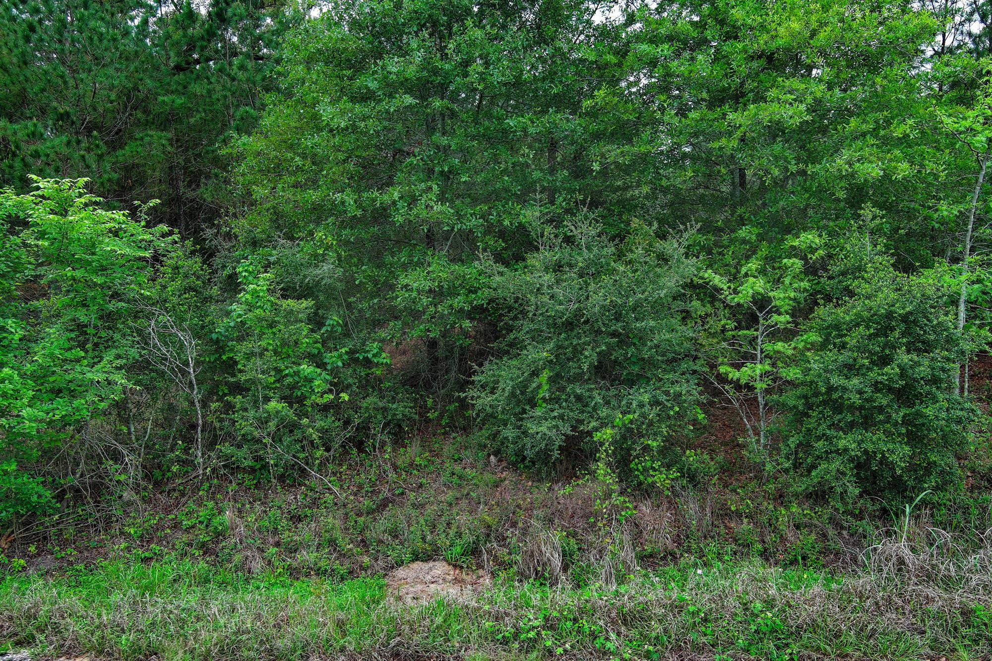 453 Kelley Rd, Bastrop, TX 78602