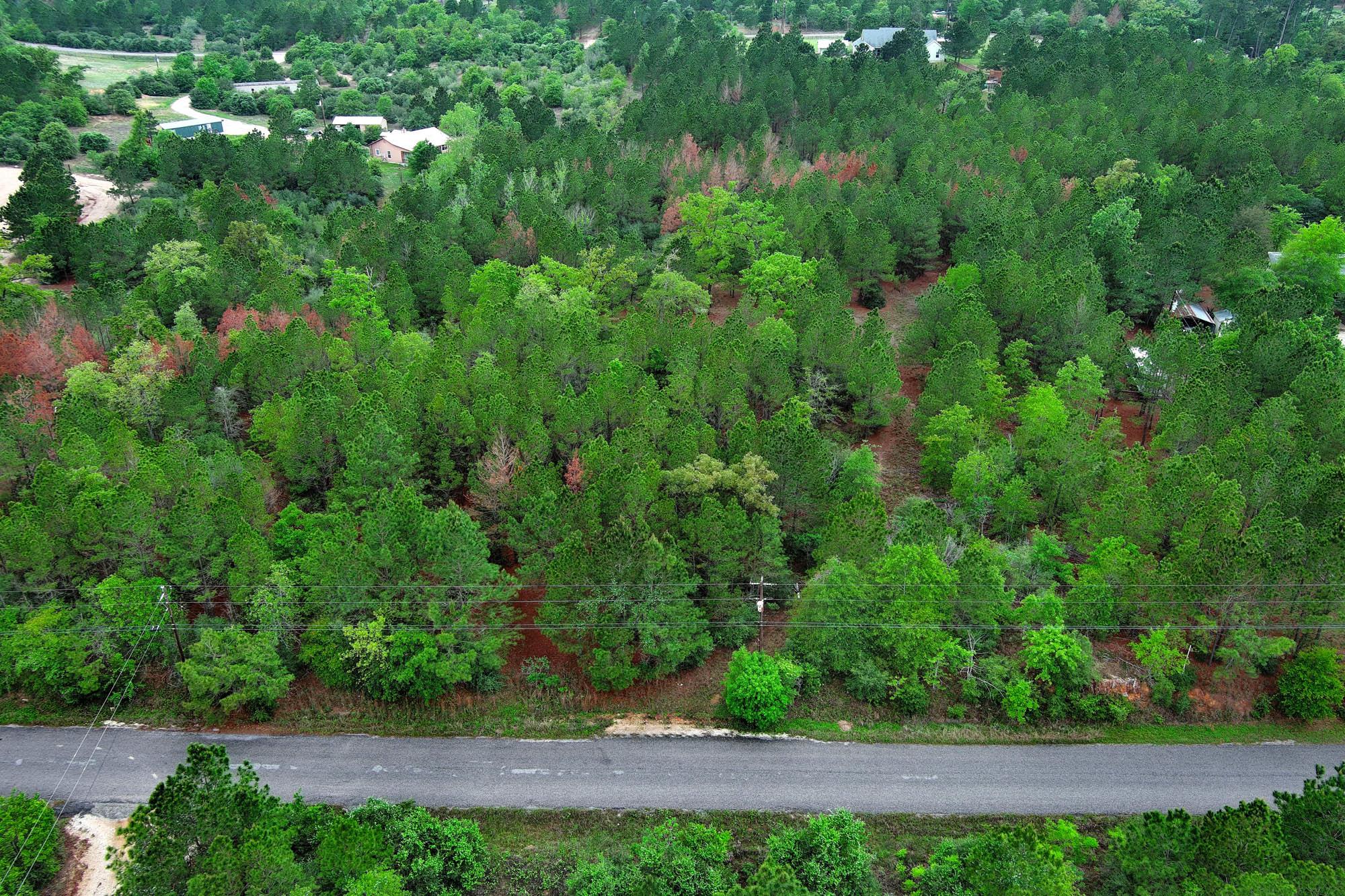 453 Kelley Rd, Bastrop, TX 78602