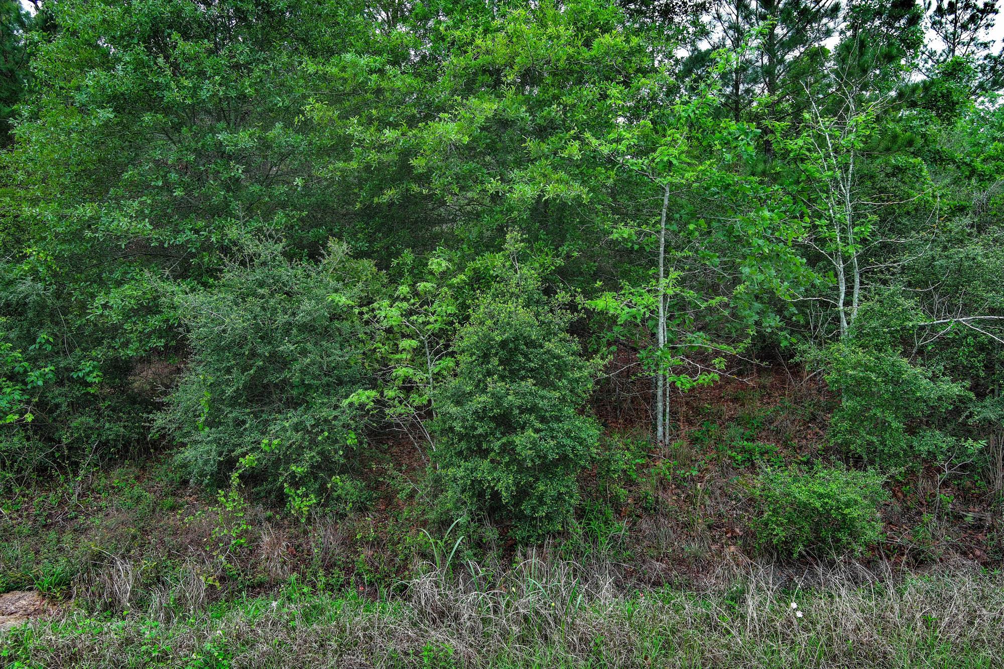 453 Kelley Rd, Bastrop, TX 78602
