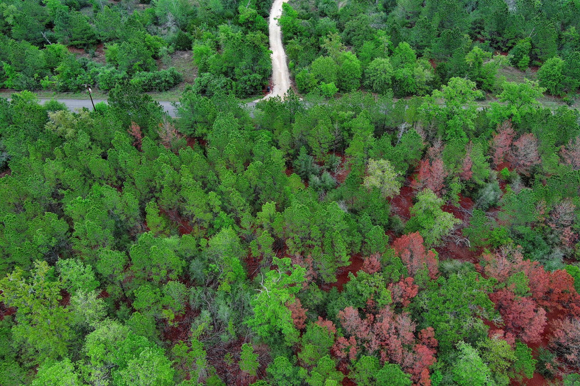 453 Kelley Rd, Bastrop, TX 78602