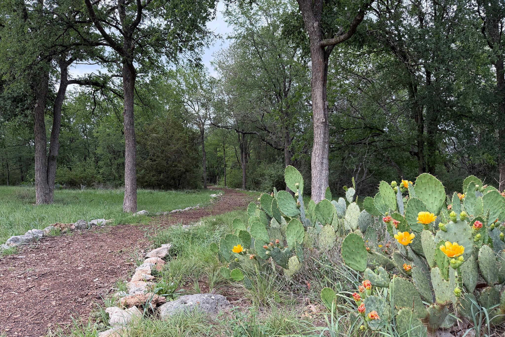 11707 Shoshone Dr, Austin, TX 78759