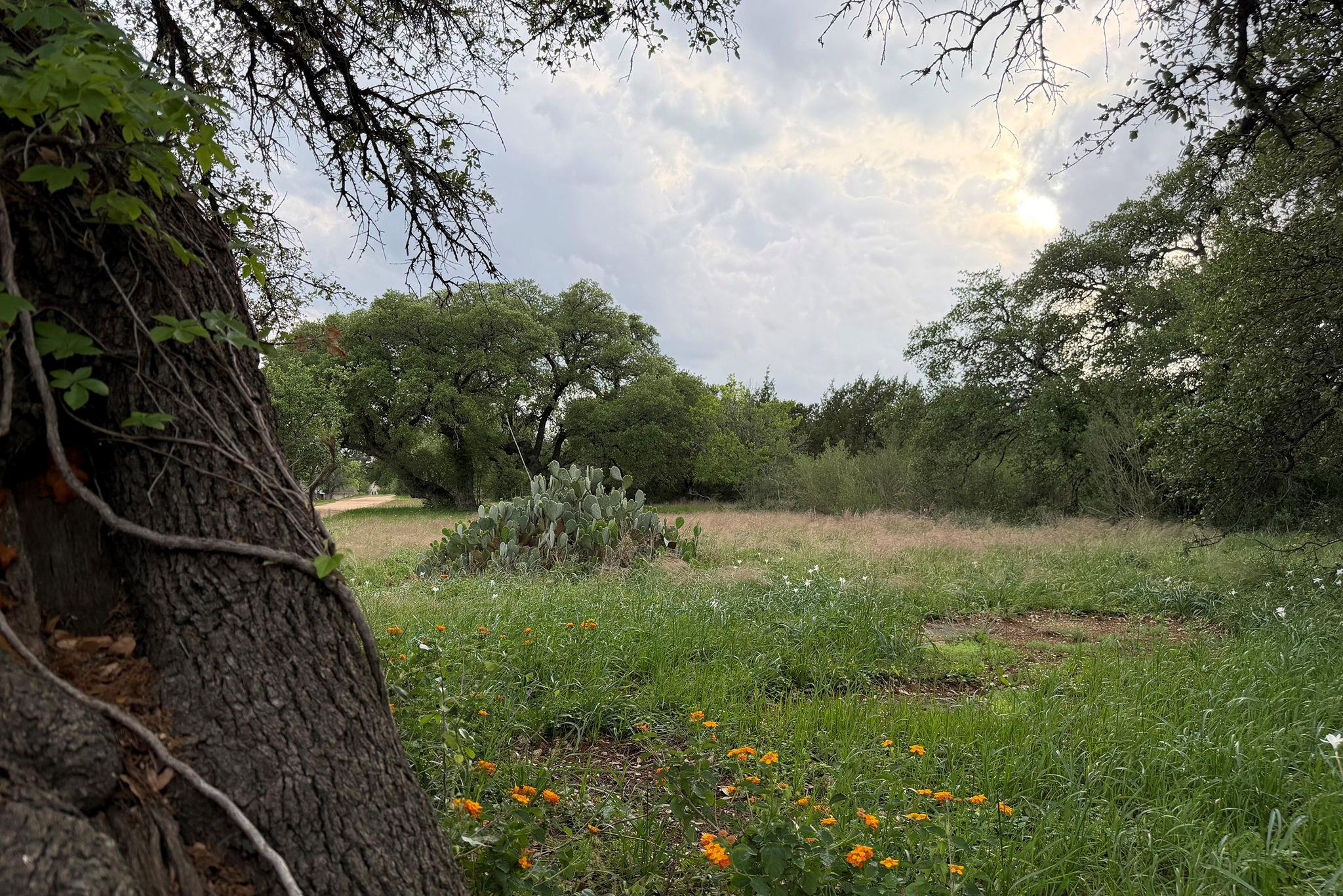 11707 Shoshone Dr, Austin, TX 78759