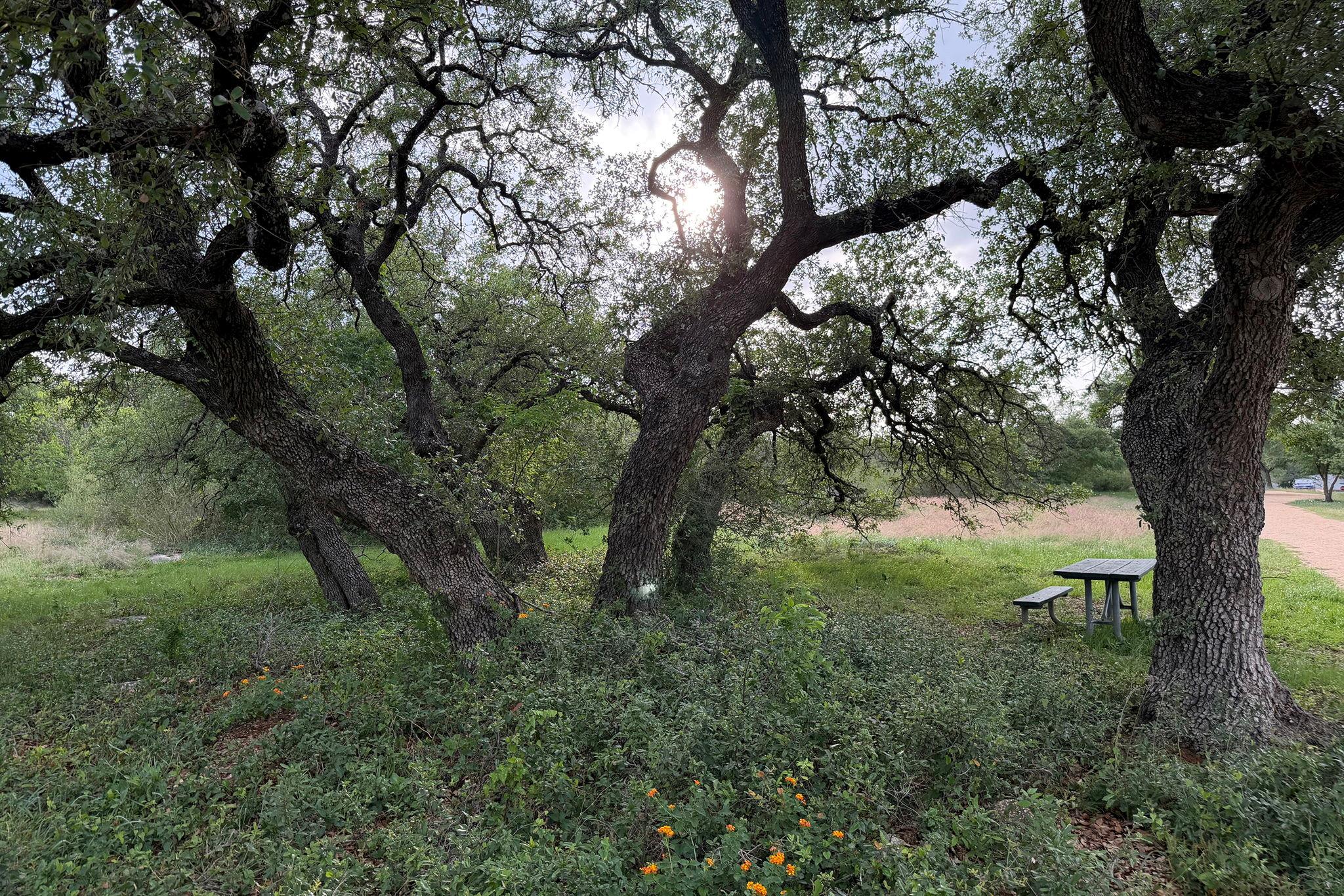 11707 Shoshone Dr, Austin, TX 78759