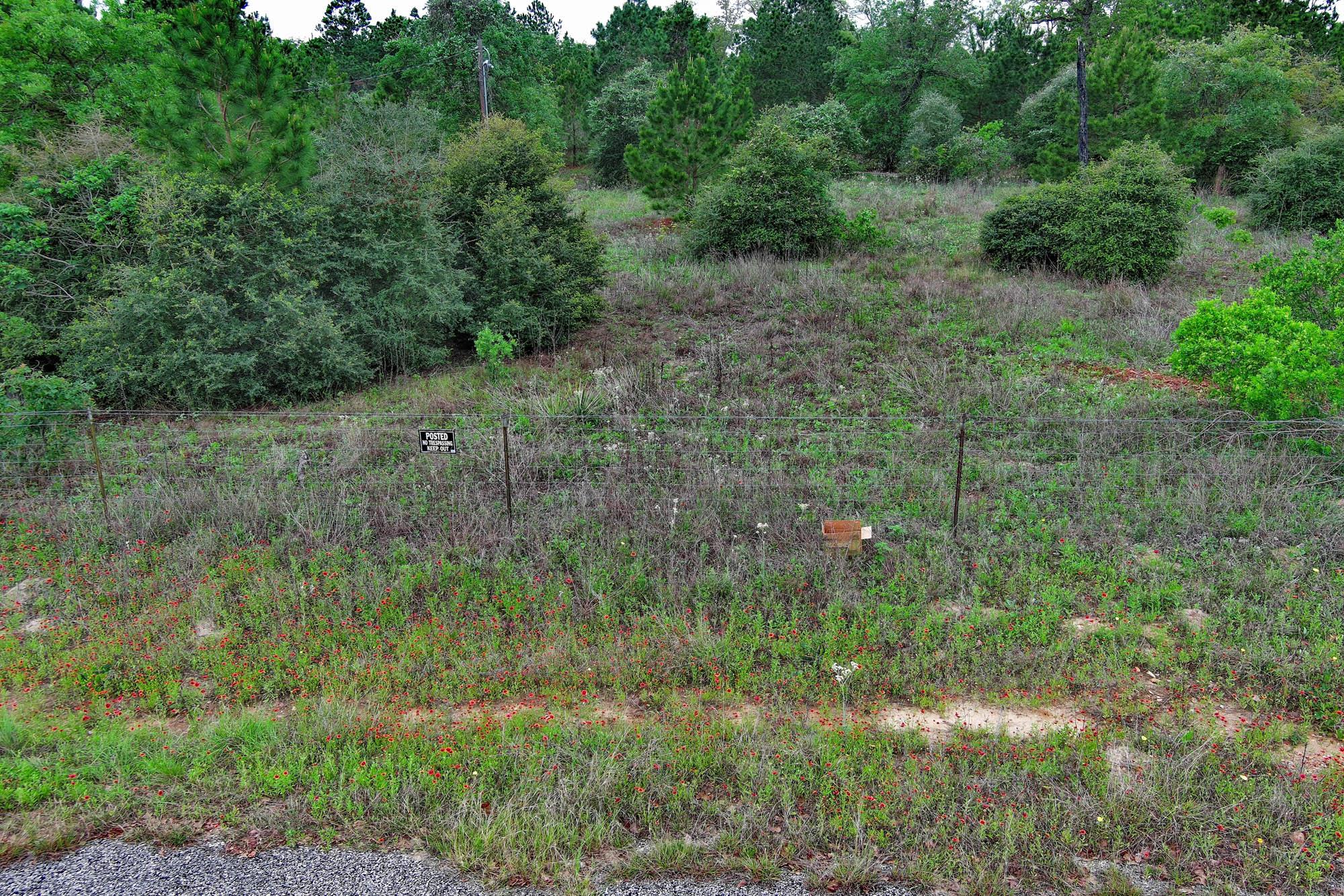 172 Kelley Rd, Bastrop, TX 78602