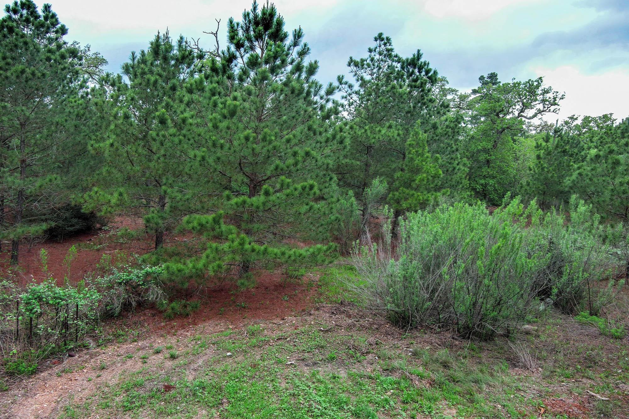 172 Kelley Rd, Bastrop, TX 78602